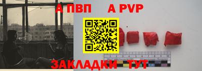 jwh Кингисепп