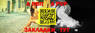jwh Кингисепп
