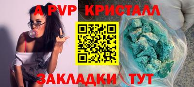 jwh Кингисепп