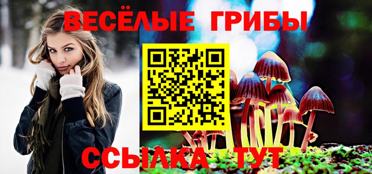 Галлюциногенные грибы мухоморы Котовск